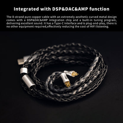 INTUAURA Reference 2019 IEM Type-C Detachable Cable