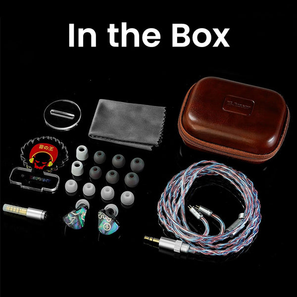 JUZEAR x Z Reviews Defiant 1DD+3BA Hybrid IEMs - 12