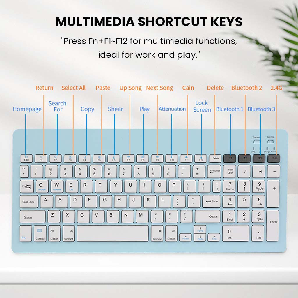 KB2858 Blue Wireless Keyboard includes multimedia shortcut keys for quick access to essential functions, ideal for productivity.