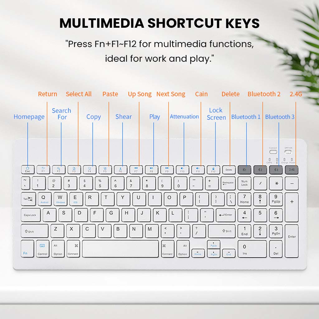 KB2858 White Keyboard with multimedia shortcut keys for quick access to essential functions, enhancing productivity and entertainment.