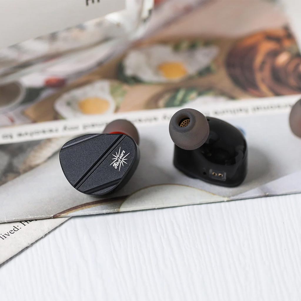 Kiwi Ear Canta Hybrid Driver IEM Black