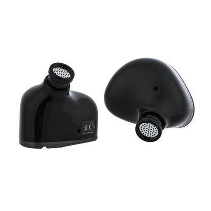 Kiwi Ear Canta Hybrid Driver IEM 