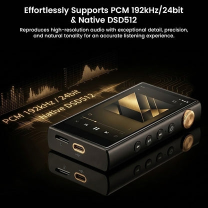Powerful digital audio player with dual mono amplification and gold circuit board