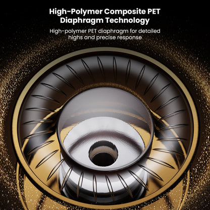 Diagram of high-polymer PET diaphragm technology in QKZ AK9 Pro earphones