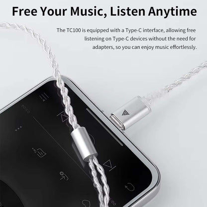 QKZ-TC 100 IEM to USB Type-C Audio Cable with USB Type-C