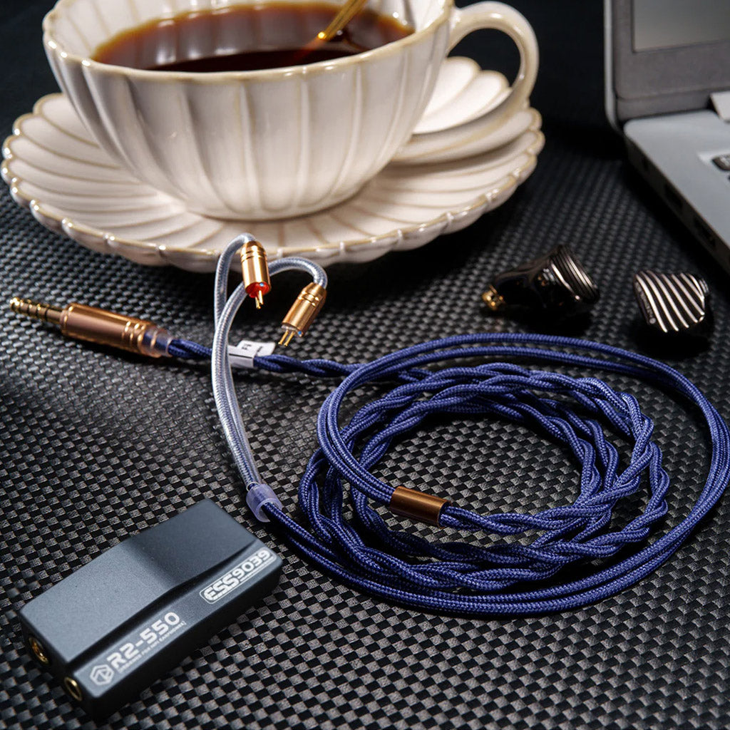 Rose Technics QT-X 1DD+6BA In-Ear Monitor Deluxe Pack With Premium DAC