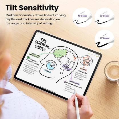 iPad Pencil with tilt sensitivity