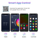 TECPHILE RGB LED Smart 4 Pin Dual Strip Light Controller with Remote - 3