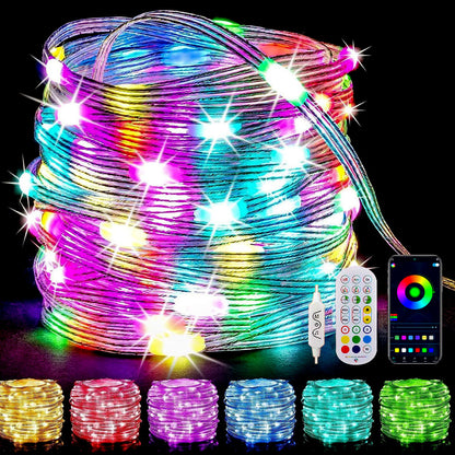 USB Powered Smart Fairy String Lights with Music Sync 100 LED