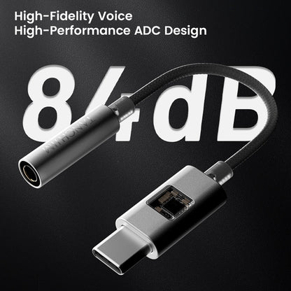 Tanchjim Strgate II DAC Silver 3.5mm female Type-C 84Db