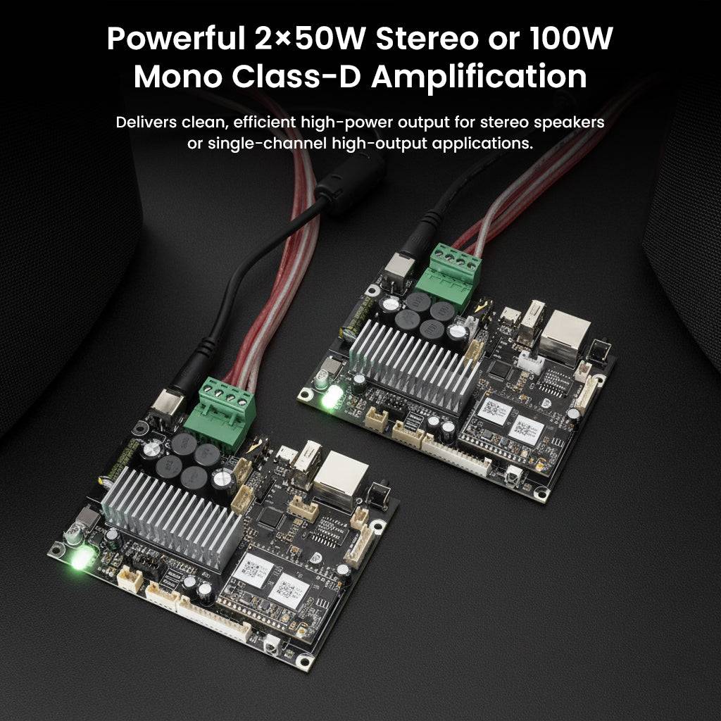 Ricevitore audio WiFi e Bluetooth 5.0 preamplificatore audio, ricevitore wireless Multiroom/Multizone Home Stereo con Airplay Spotify Connect e telecomando per altoparlanti fai da te - Arylic