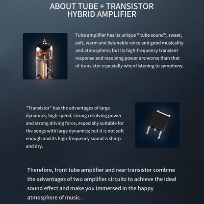 Xduoo MH02 Hybrid Amplifier and Transitor