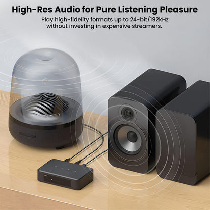Arylic - LP10 Wireless Music Streamer with AirPlay 2, Multiroom Stereo