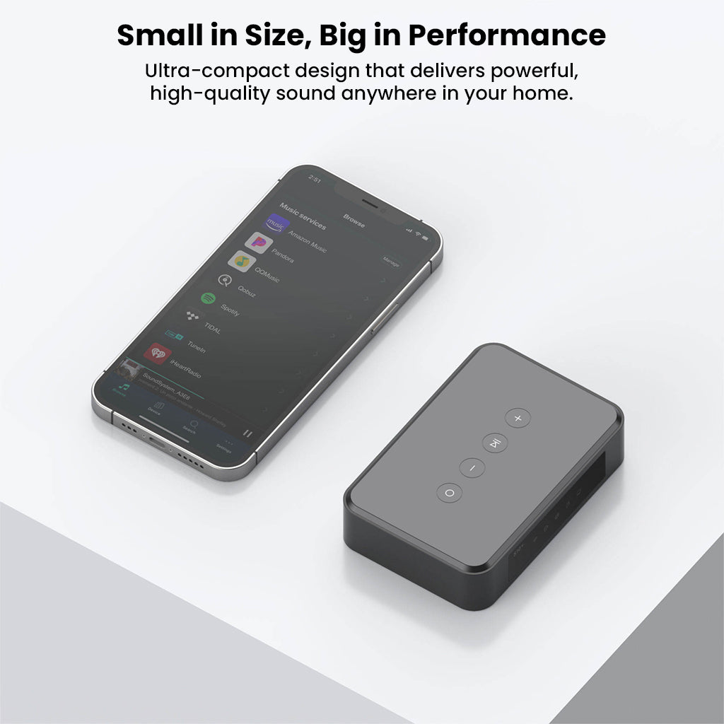 Arylic - LP10 Wireless Music Streamer with AirPlay 2, Multiroom Stereo