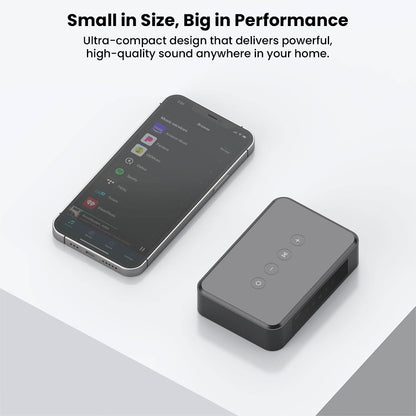 Arylic - LP10 Wireless Music Streamer with AirPlay 2, Multiroom Stereo