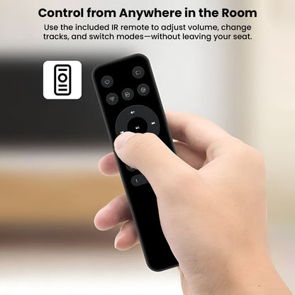 Arylic - LP10 Wireless Music Streamer with AirPlay 2, Multiroom Stereo
