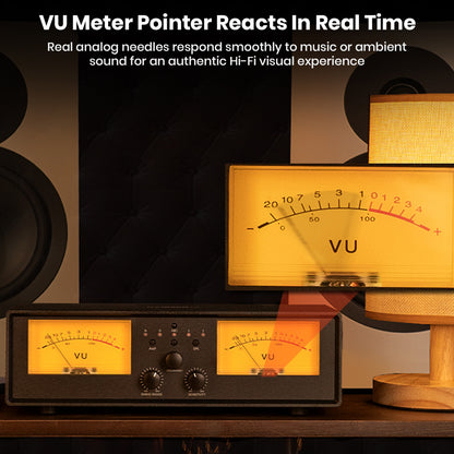 NEOHIPO ET30 VU meter pointers react in real time to music or ambient sound, delivering an authentic Hi-Fi visual experience.