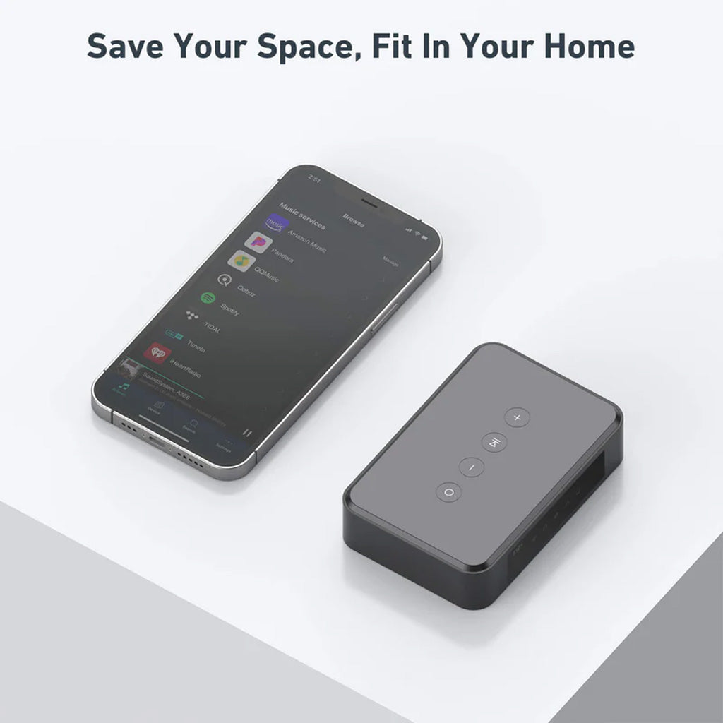 ARYLIC S10+ Wireless Music Streamer with AirPlay, Multiroom Stereo
