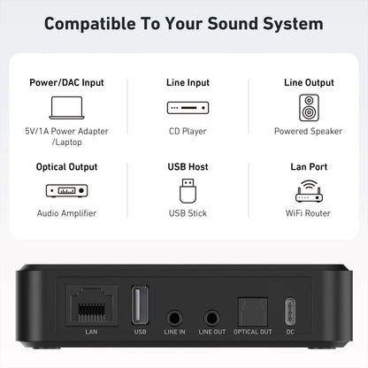 ARYLIC S10+ Wireless Music Streamer with AirPlay, Multiroom Stereo
