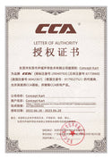 CCA - C10 Wired IEM - 2