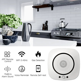 Concept-Kart-MOES-WiFi-Smart-Carbon-Monoxide-Gas-Leakage-Detector-5-_1