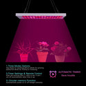 TECPHILE - 300W LED Grow Light for Indoor Plants - 5