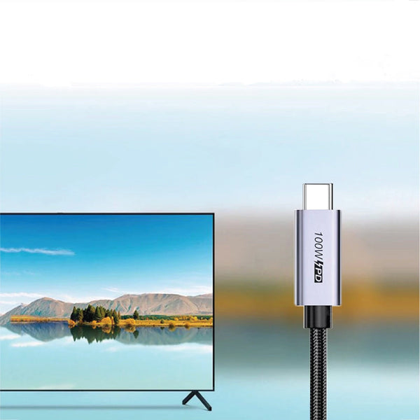 URVNS - C43 PD100W 2 IN 1 USB-C Cable - 13
