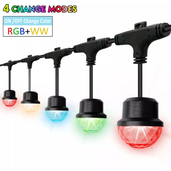 TECPHILE - RGB+WW LED String Light Bulb - 2