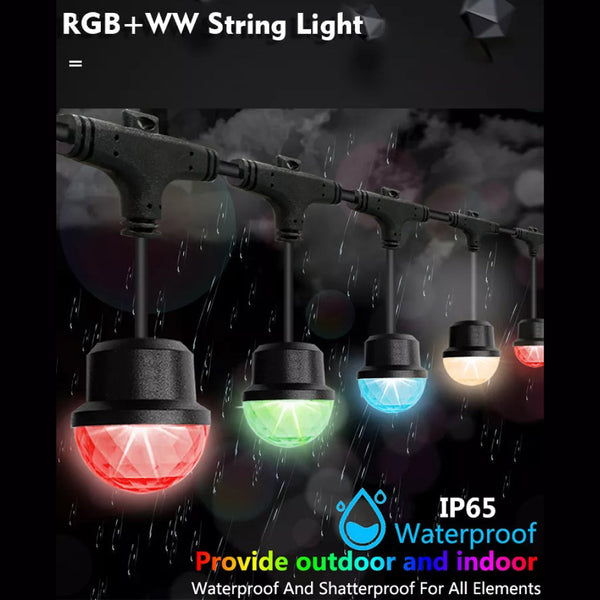 TECPHILE - RGB+WW LED String Light Bulb - 3