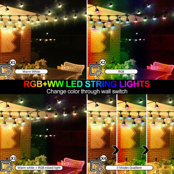 TECPHILE - RGB+WW LED String Light Bulb - 6
